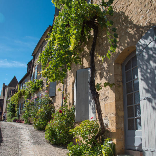 Visite découverte de Beynac