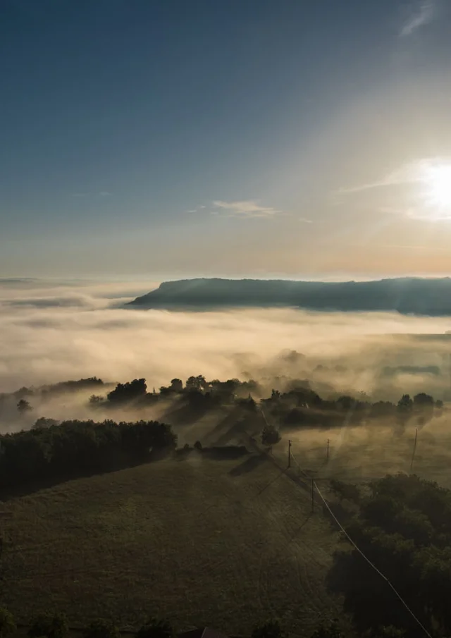 Activites Dan Courtice (33)