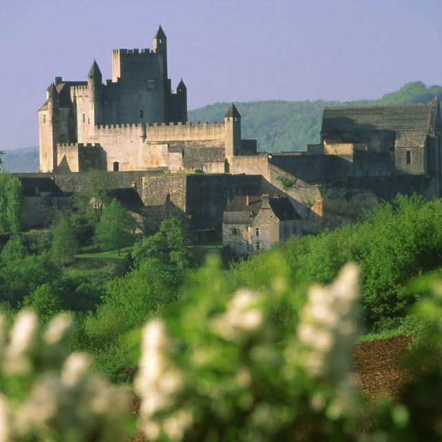 Beynac Château Vue Nord Avec Lilas Blancs