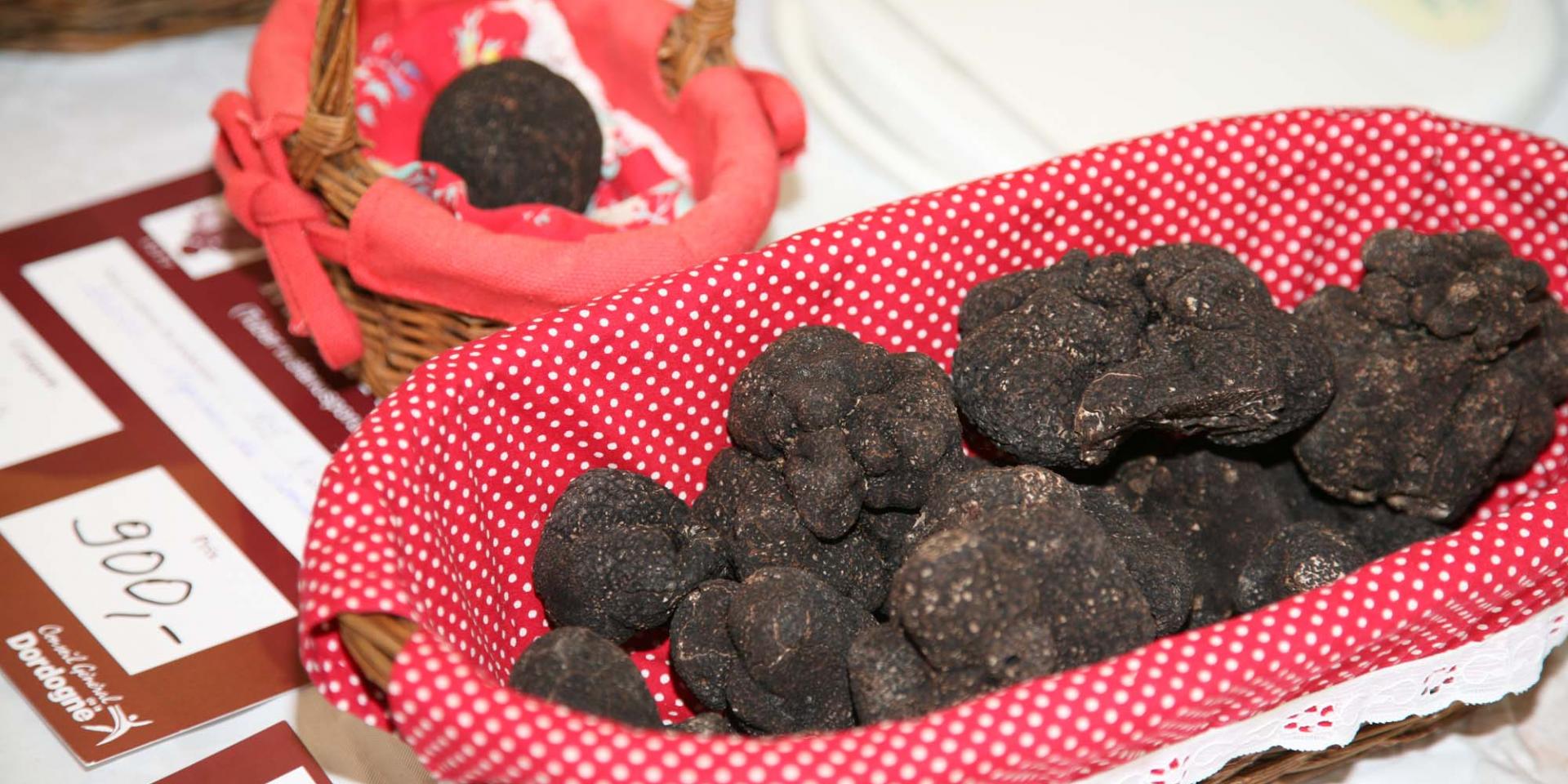 La truffe du périgord