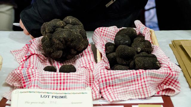 Marchés primés - Fête de la truffe à Sarlat