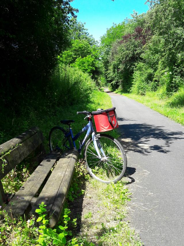Randonnée à vélo_voie verte