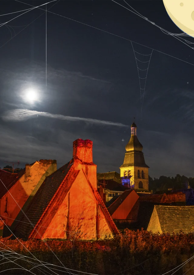 cobweb background2