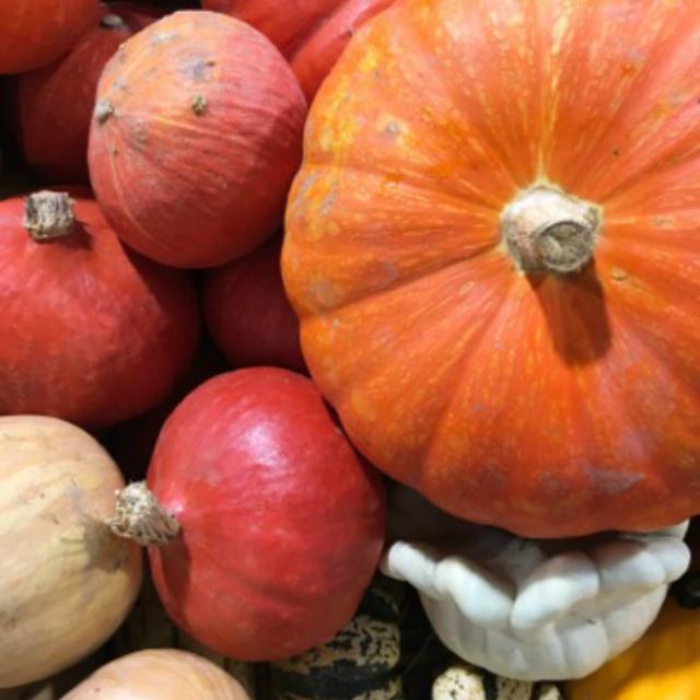 Citrouille
