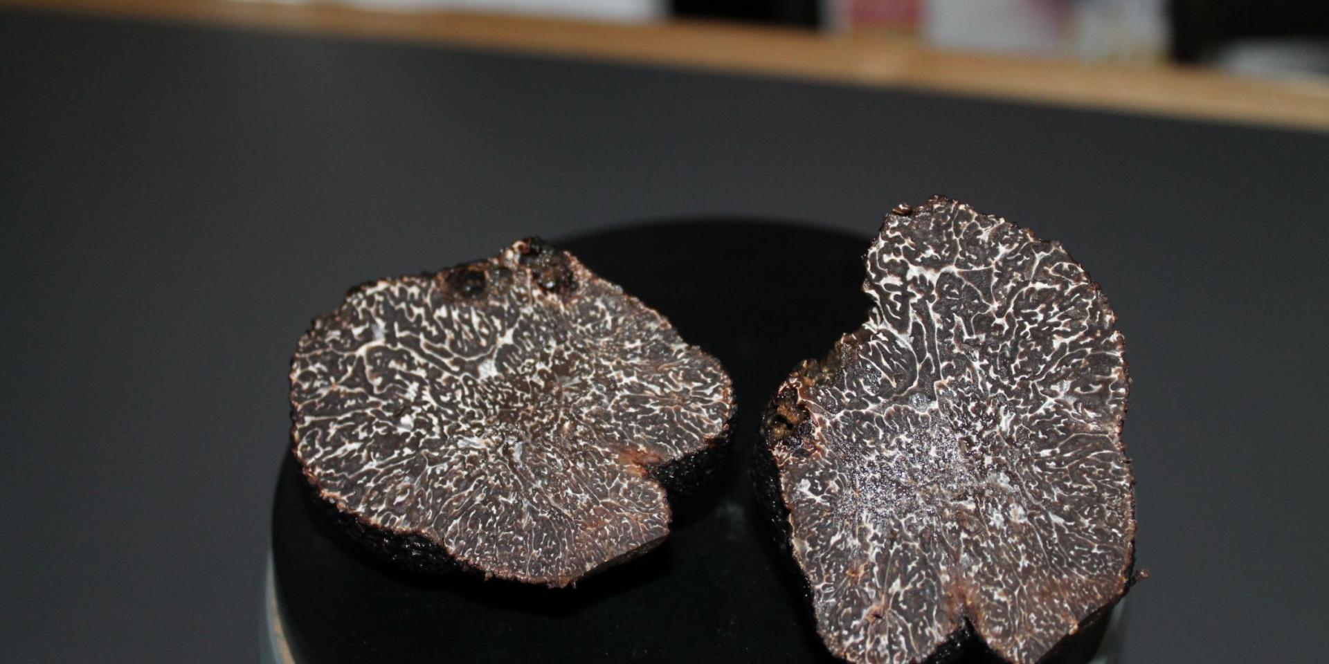 Truffes en Perigord