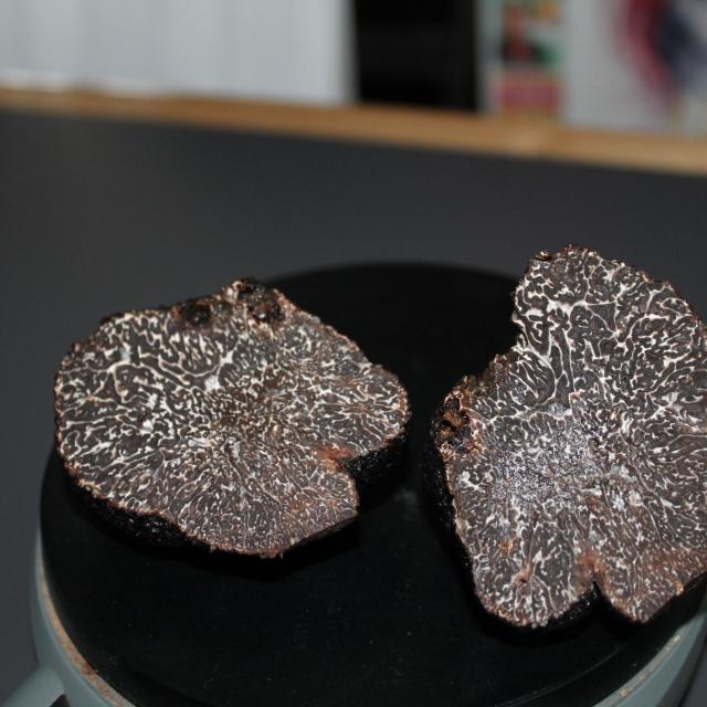 Tartufi nel Perigord