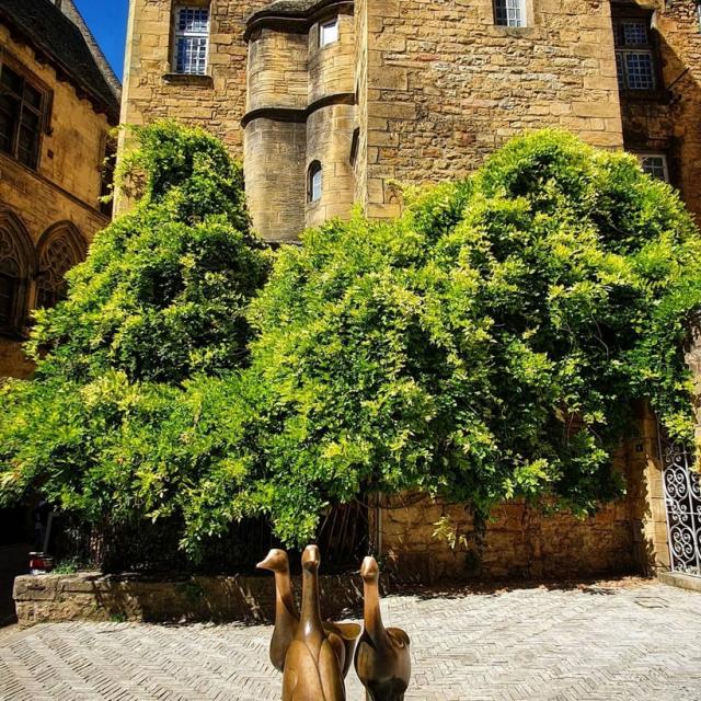 Instagram #sarlat
