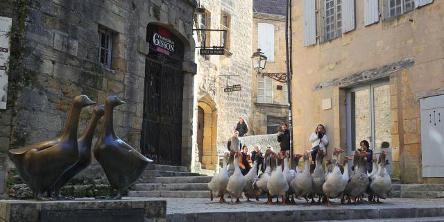 Animations Centre Ville (26)