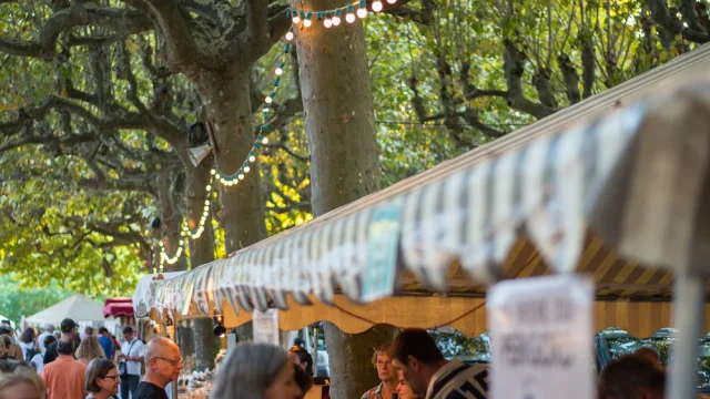 Fete_du_gout_et_de_la_Gastronomie__Dan_Courtice-16.jpg