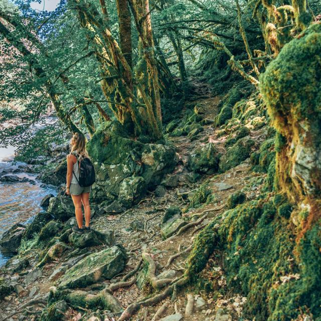 Gole dell'Auvézère @lesdroners