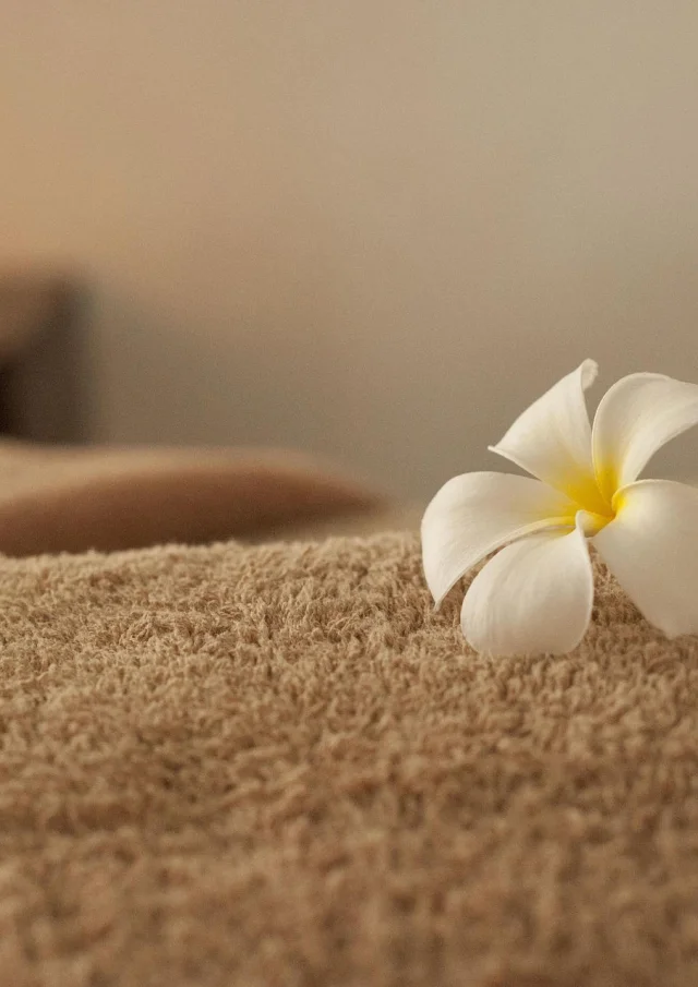 relax-686392_1920 (1)