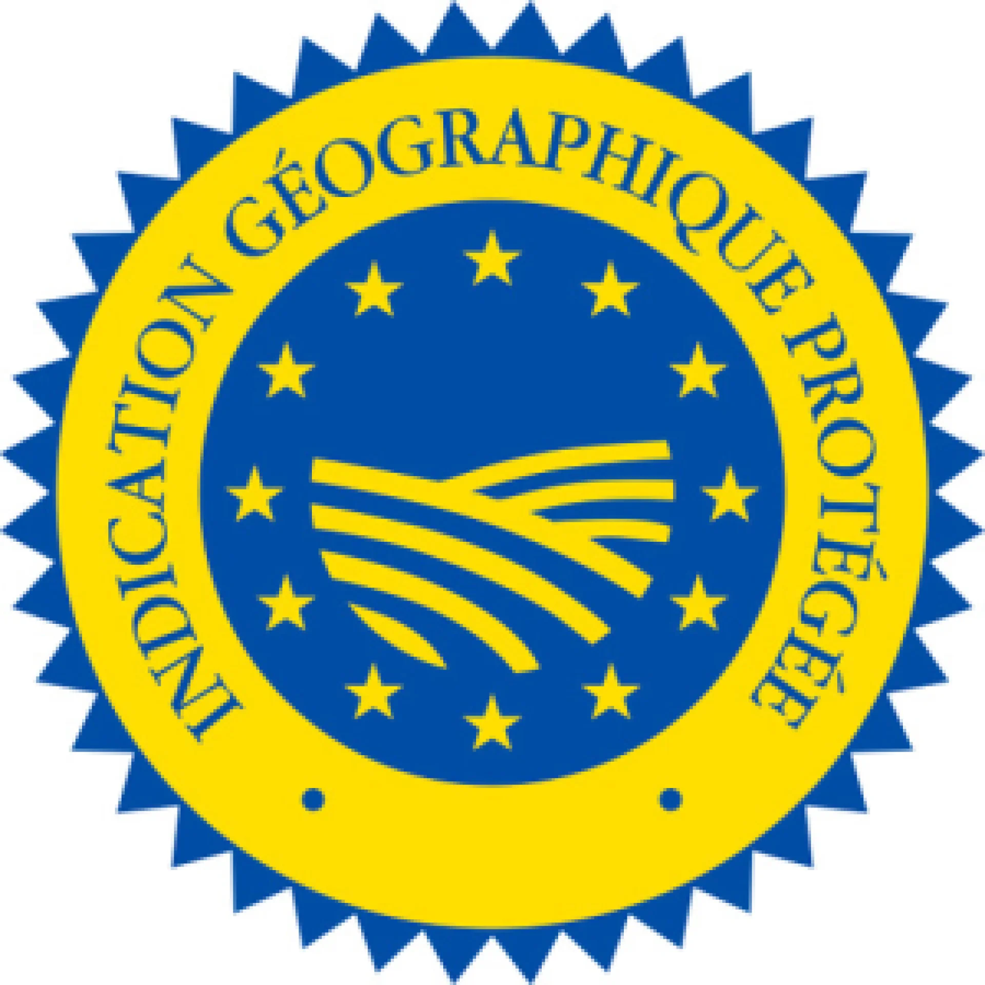 Logo Igp