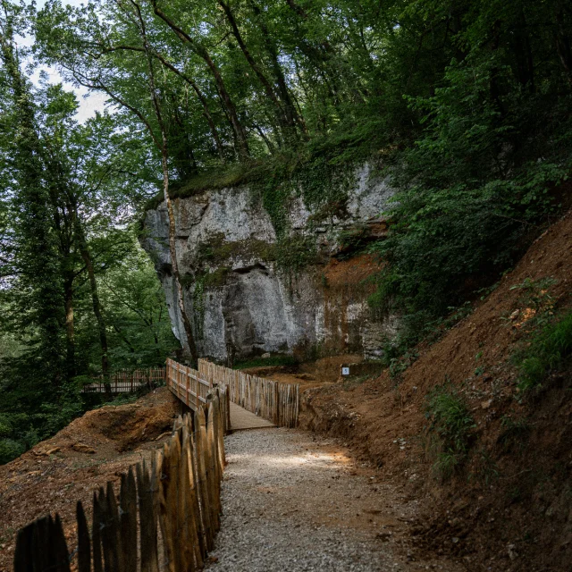 A7408813