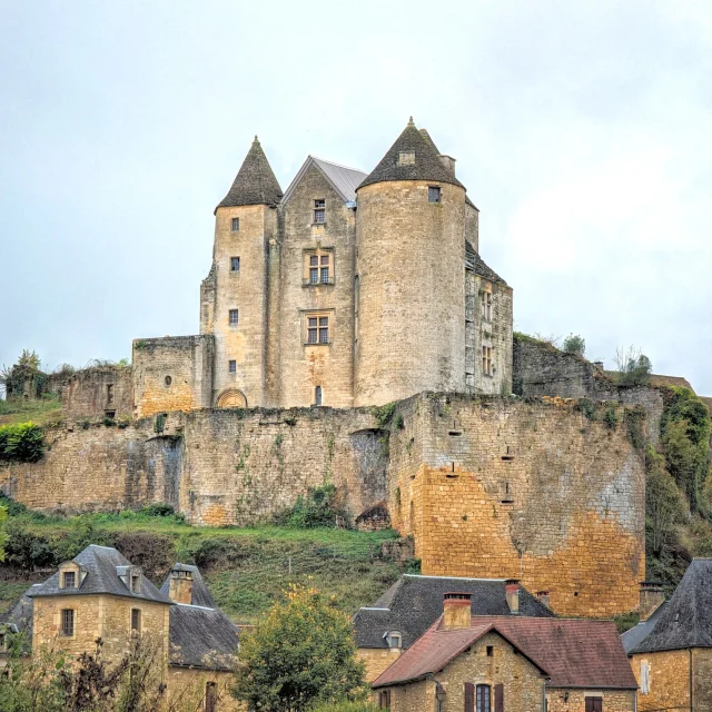 Chateau Salignac