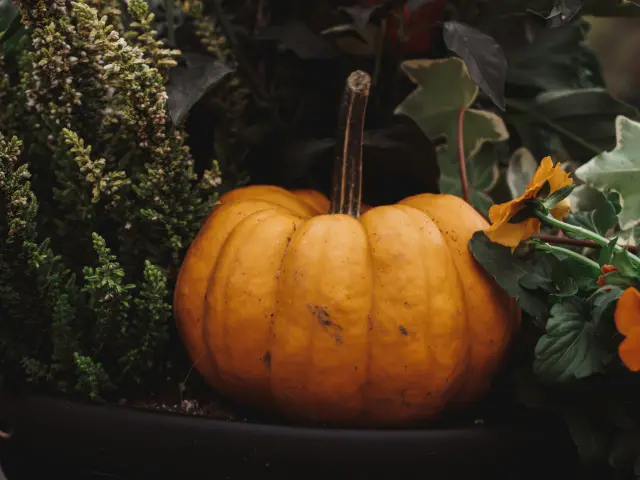 Photo de Donna McL sur Unsplash