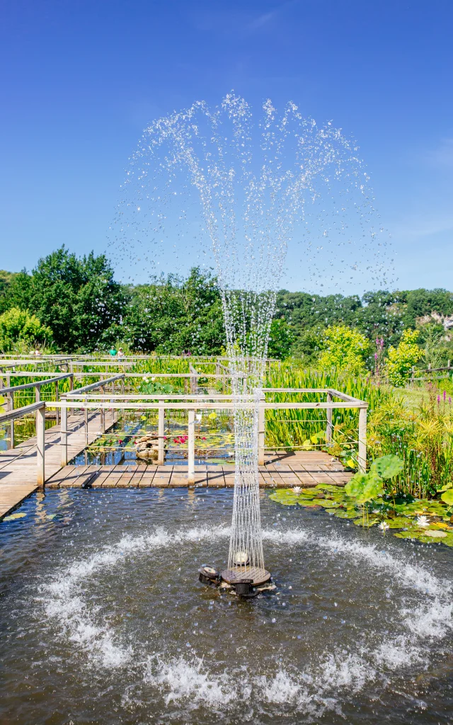2350_balade_aux_jardins_d_eau_de_carsac_Les_Conteurs.jpg