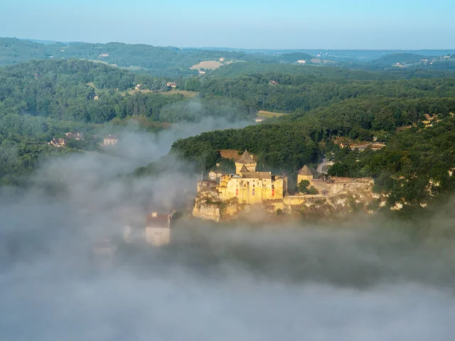 Castelnaud-Dan-Courtice-2.jpg