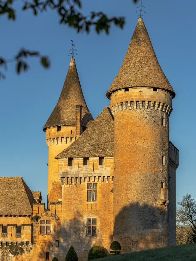 Château de Puymartin