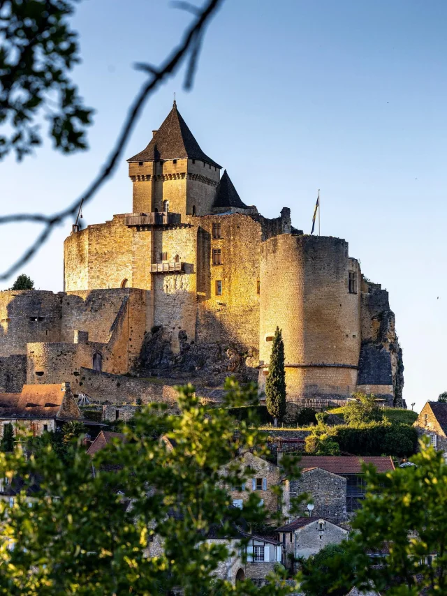Castelnaud@declic