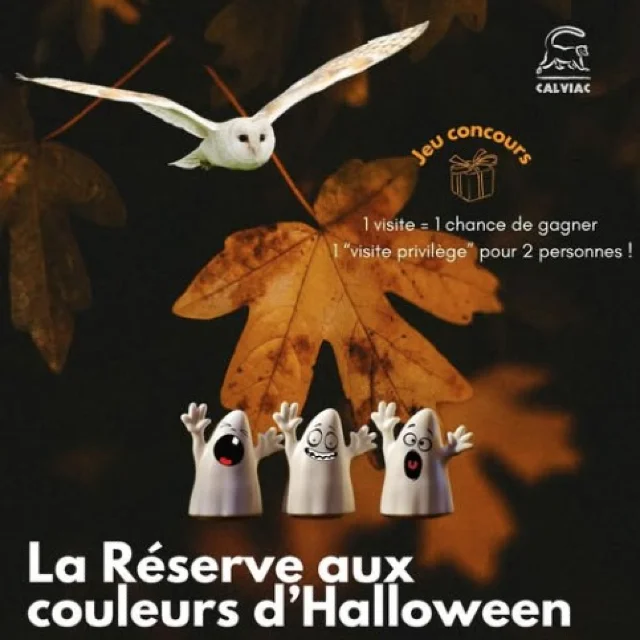 reserve-halloween-1.jpg