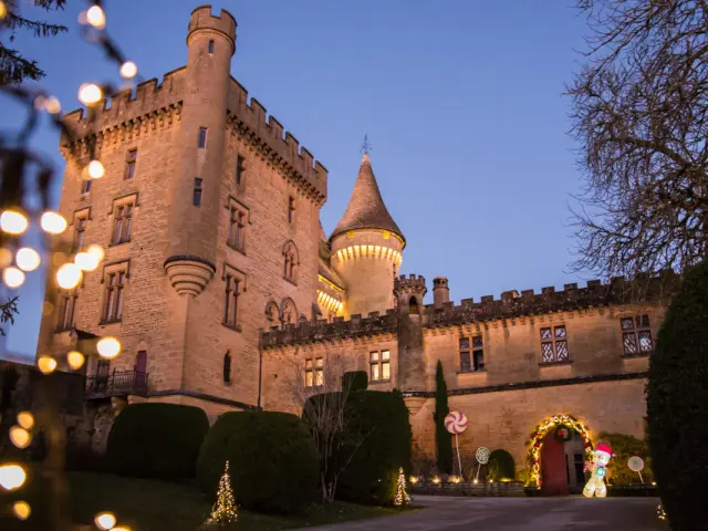 Château de Puymartin