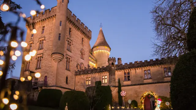 Château de Puymartin