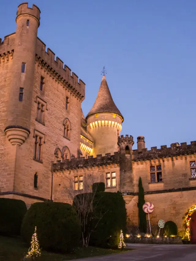 Château de Puymartin