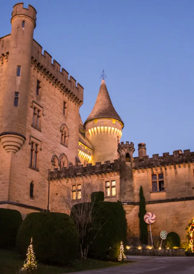 Château de Puymartin