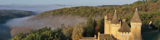 Château de Puymartin