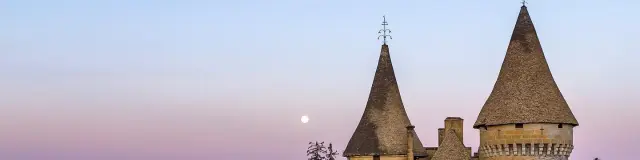 Château de Puymartin