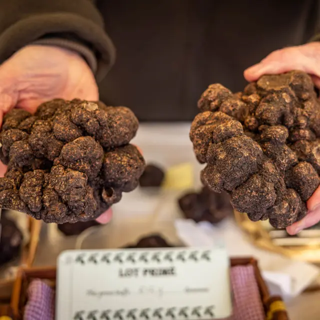 Fête de la Truffe