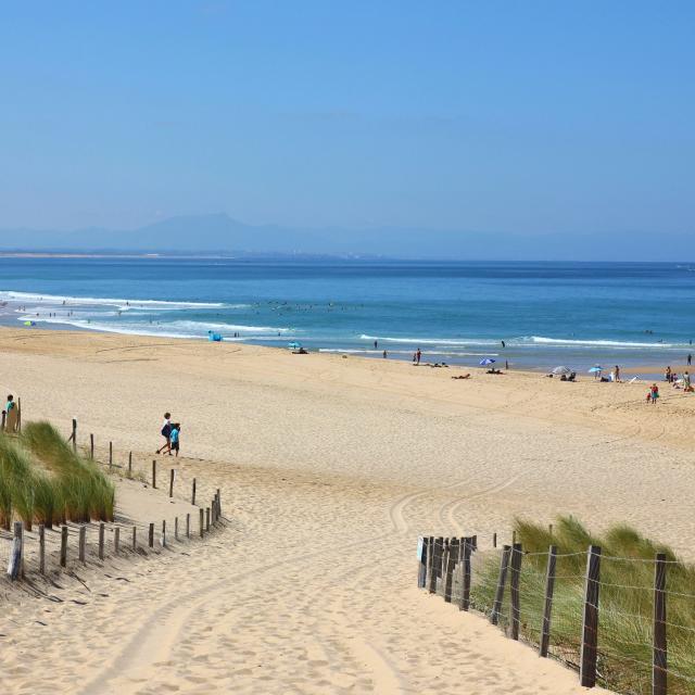 Plage Des Estagnots 2018 ©seignosse Tourisme (7)