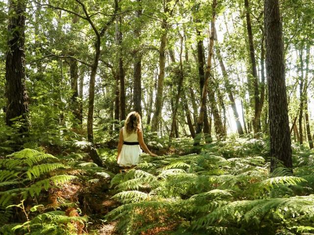 balade en forêt seignosse