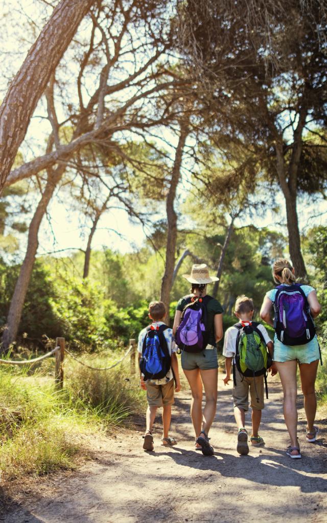 randonnée en forêt seignosse