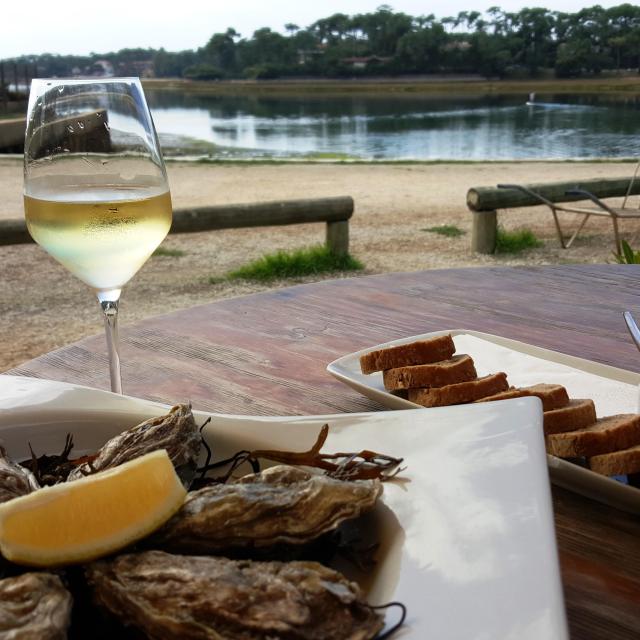 Degustation Huitres Au Lac D'hossegor©seignossetourisme