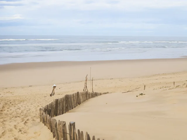 Terra Atlayakindabreak 1