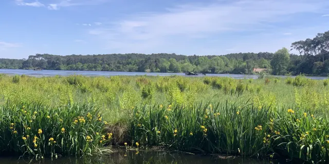 Vue sur l’étang blanc de Seignosse