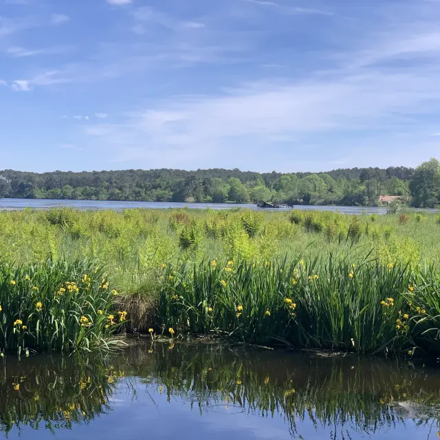 Vue sur l’étang blanc de Seignosse