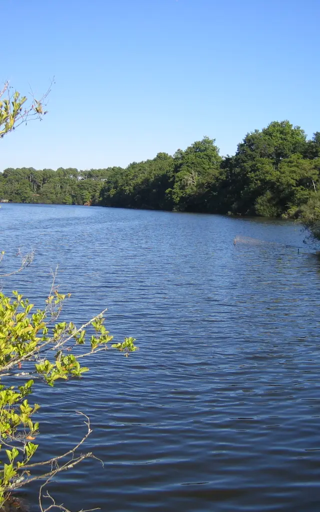 Etang noir réserve naturelle Seignosse