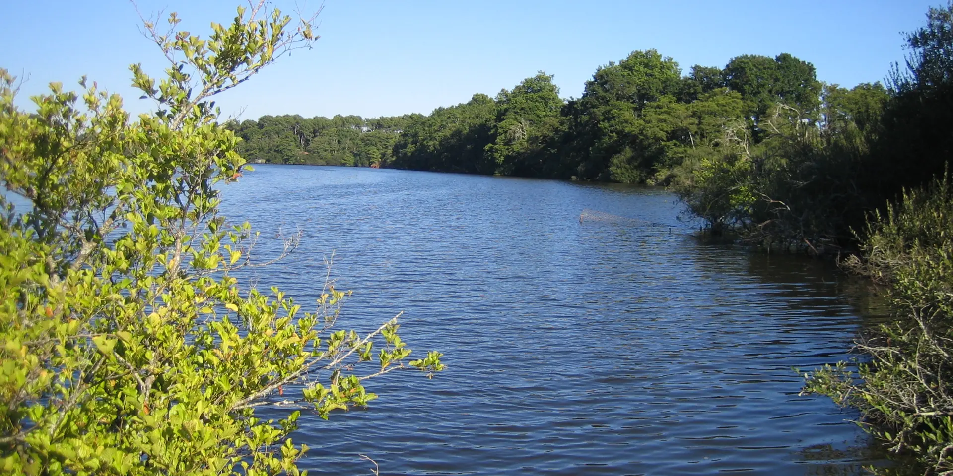 Etang noir réserve naturelle Seignosse