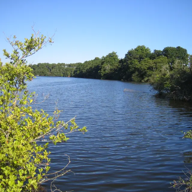 Etang noir réserve naturelle Seignosse