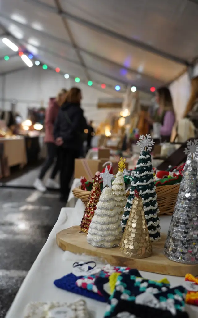 Marche De Noel 2024 @ville De Seignosse 9 Rotated