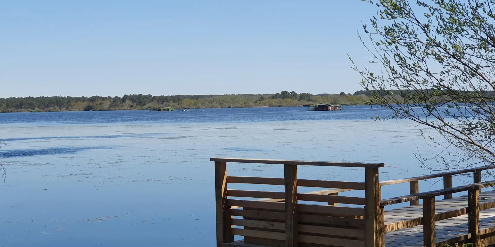 Berges Etang Blanc Seignosse