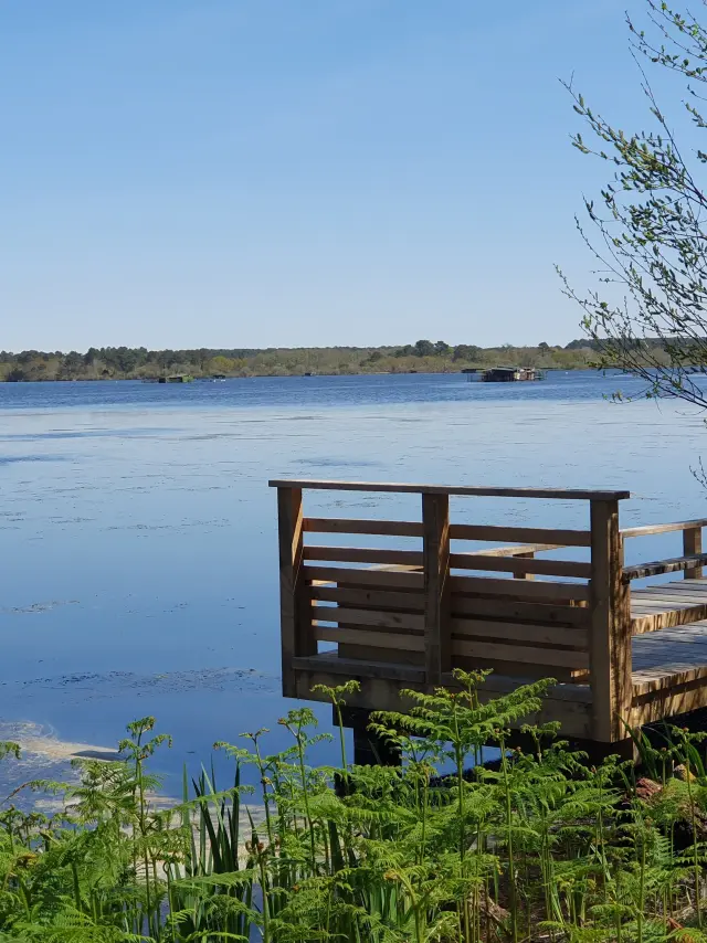 Berges Etang Blanc Seignosse