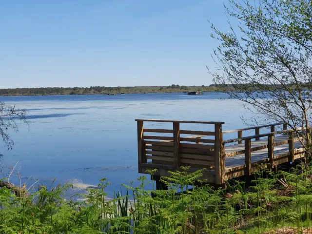 Berges Etang Blanc Seignosse