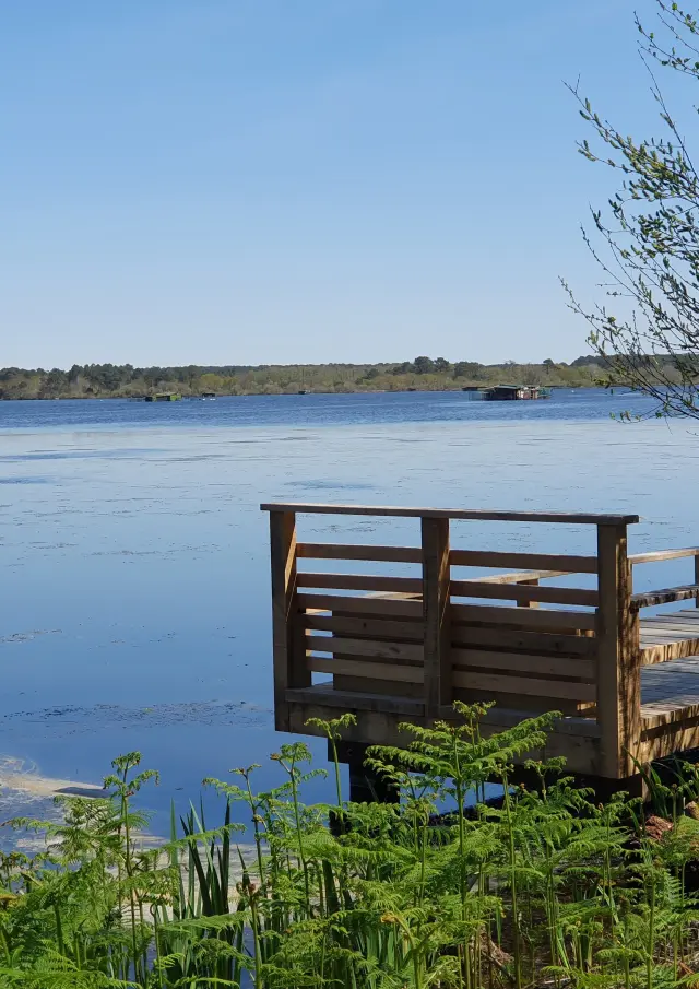 Berges Etang Blanc Seignossetourisme 12