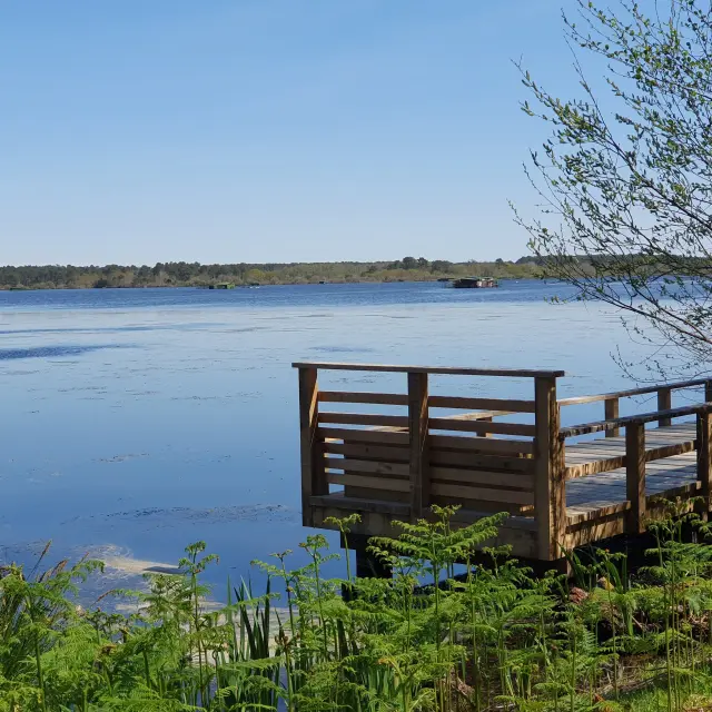 Berges Etang Blanc Seignosse