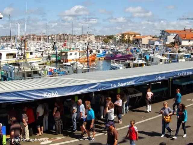 4.port Capbreton.fr