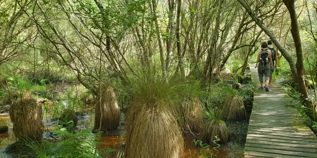 Reserva Etang Noir Seignossetourisme 3