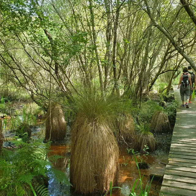 Reserve Etang Noir Seignossetourisme 3